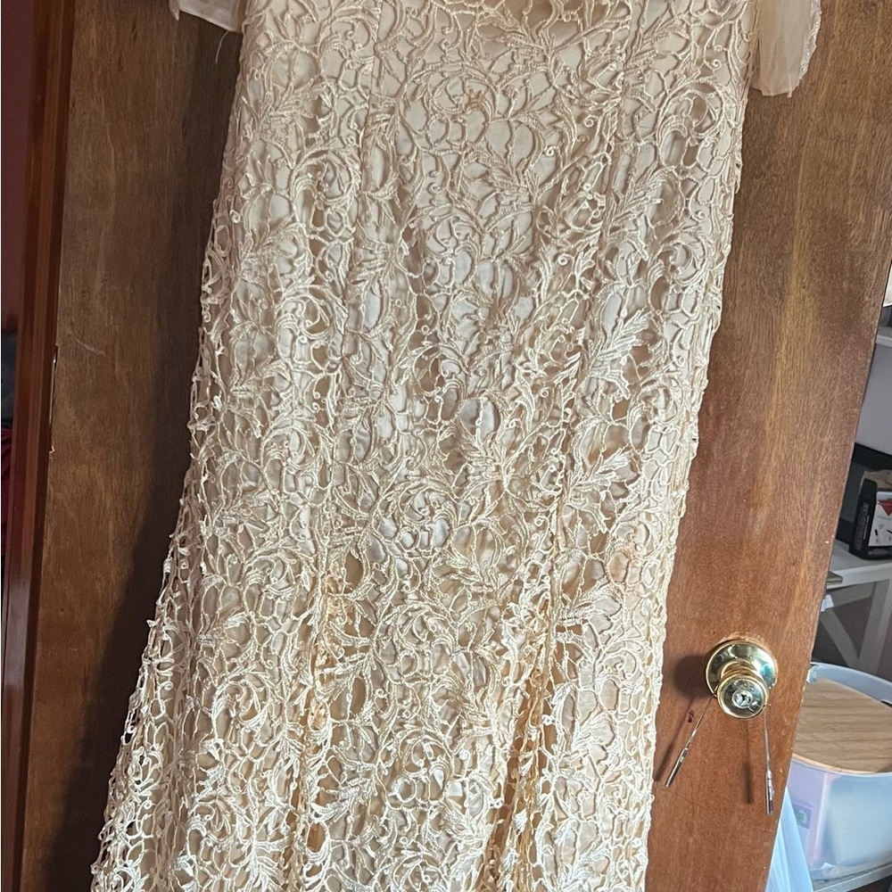 Elegant Lace Dress in Cream